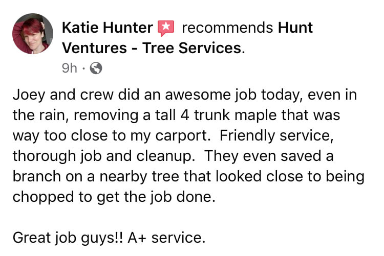 Customer Review - Hunt Ventures Tree ServicesPicture