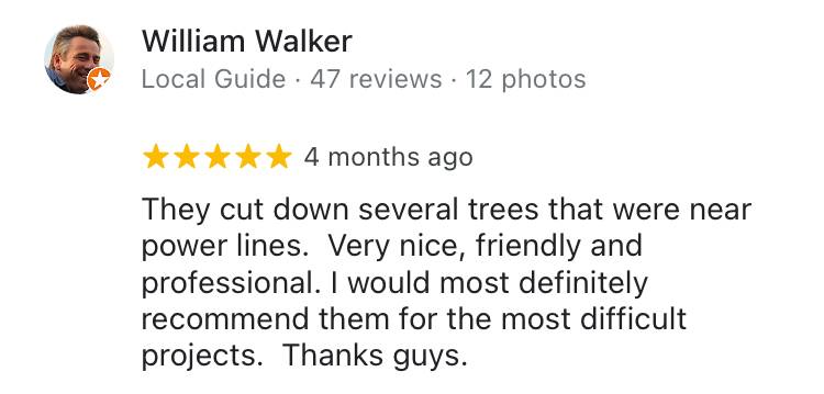 Customer Review - Hunt Ventures Tree Services